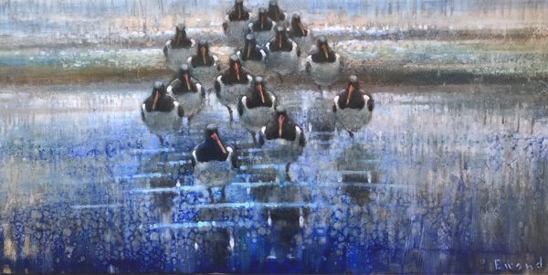 Ewoud-Oystercatchers-reflection-09-12-2020-rechthoekig