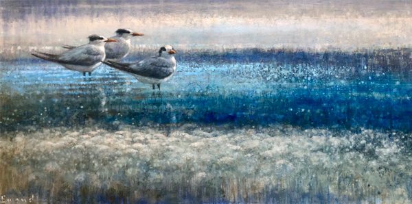 Ewoud-Resting-terns-09-12-2020-rechthoekig