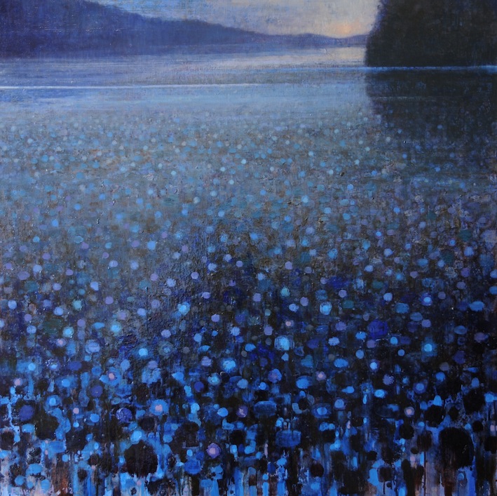 Ewoud-de-Groot-Wildlife-Call-of-the-Loon-2012