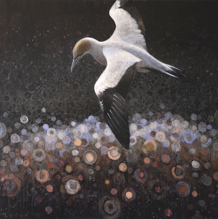 Ewoud-de-Groot-Wildlife-Gannet-2013