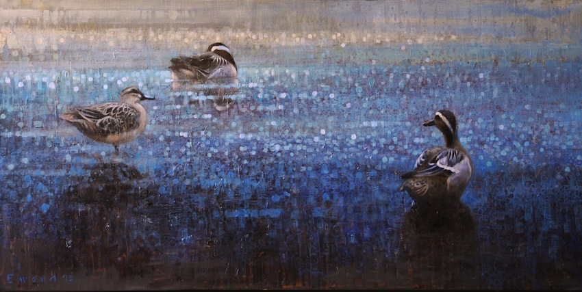 Ewoud-de-Groot-Wildlife-Garganeys-2013