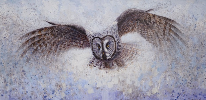 Ewoud-de-Groot-Wildlife-Great-grey-owl-2011