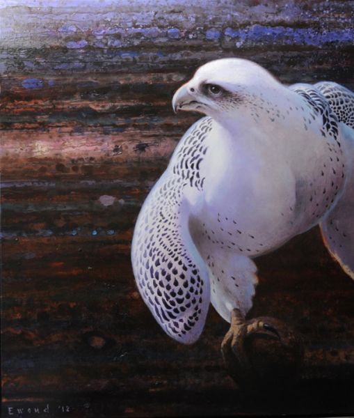 Ewoud-de-Groot-Wildlife-Gyrfalcon-2012