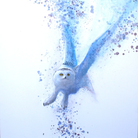 Ewoud-de-Groot-Wildlife-Owl01