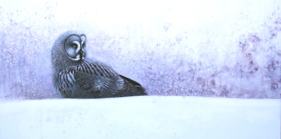 Ewoud-de-Groot-Wildlife-Owl03