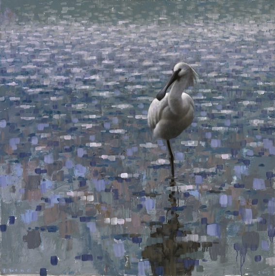 Ewoud-de-Groot-Wildlife-Resting-Spoonbill