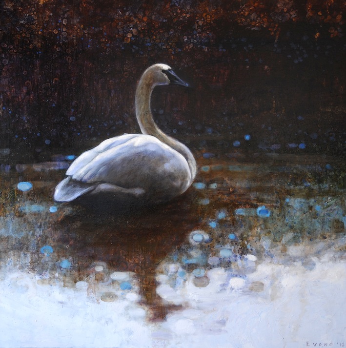 Ewoud-de-Groot-Wildlife-Resting-swan-2012