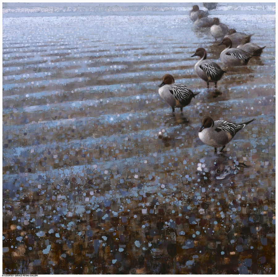 Ewoud-de-Groot-Wildlife-Sleeping-Pintails