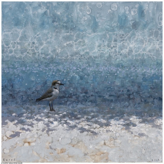 Ewoud-de-Groot-Wildlife-Snowplover-01