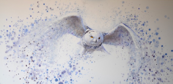 Ewoud-de-Groot-Wildlife-Snowy-owl-2011