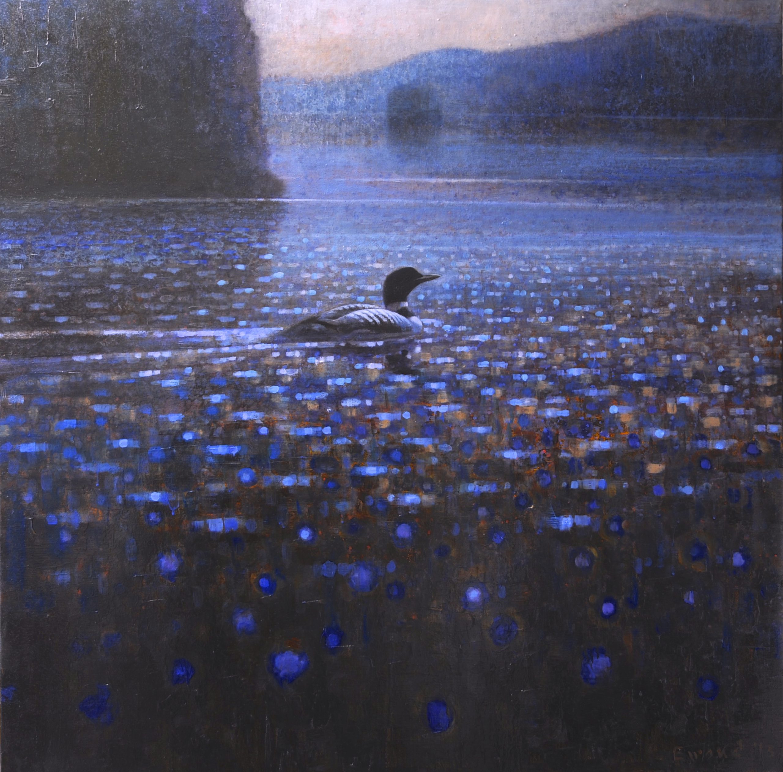 Ewoud-de-Groot-Wildlife-Twilight-Loon-04-2013