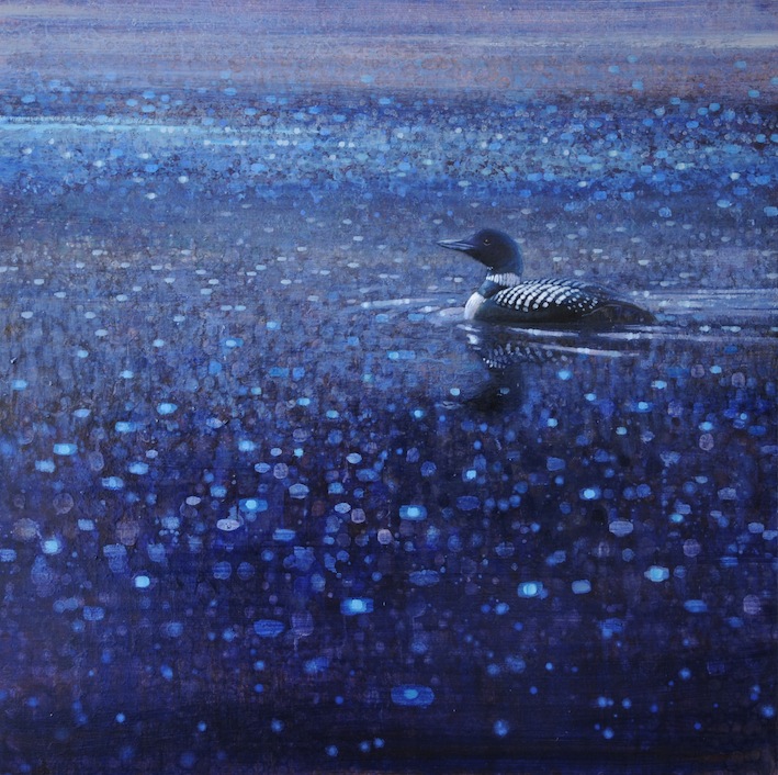 Ewoud-de-Groot-Wildlife-Twilight-loon-03-2012