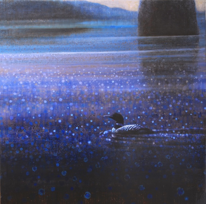 Ewoud-de-Groot-Wildlife-Twilight-loon-03-2013