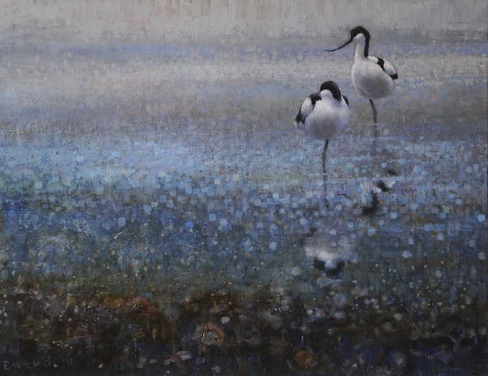 Ewoud-de-Groot-Wildlife-Two-Avocets-2011