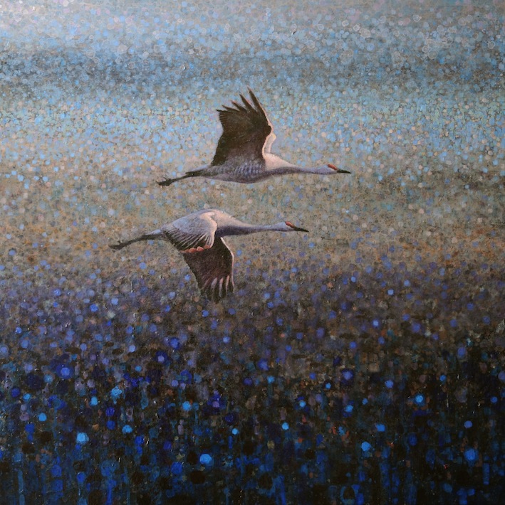 Ewoud-de-Groot-Wildlife-Two-Sandhills-2012