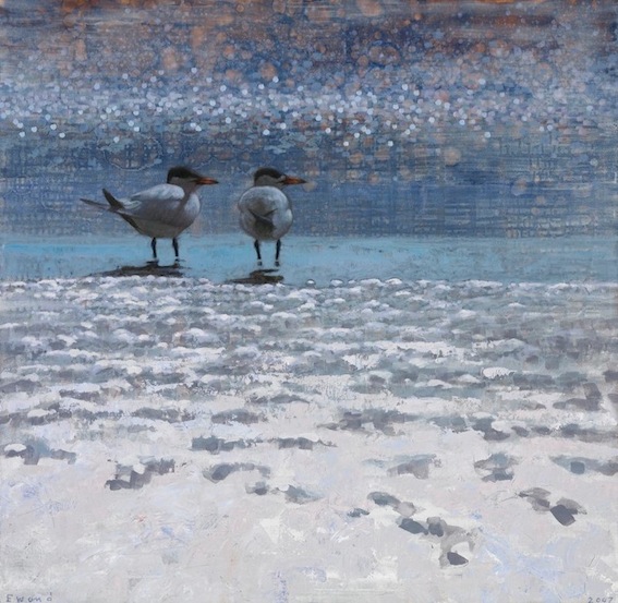 Ewoud-de-Groot-Wildlife-Two-Terns