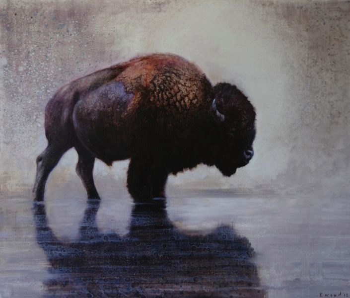 Ewoud-de-Groot-Wildlife-Wading-bull-2012