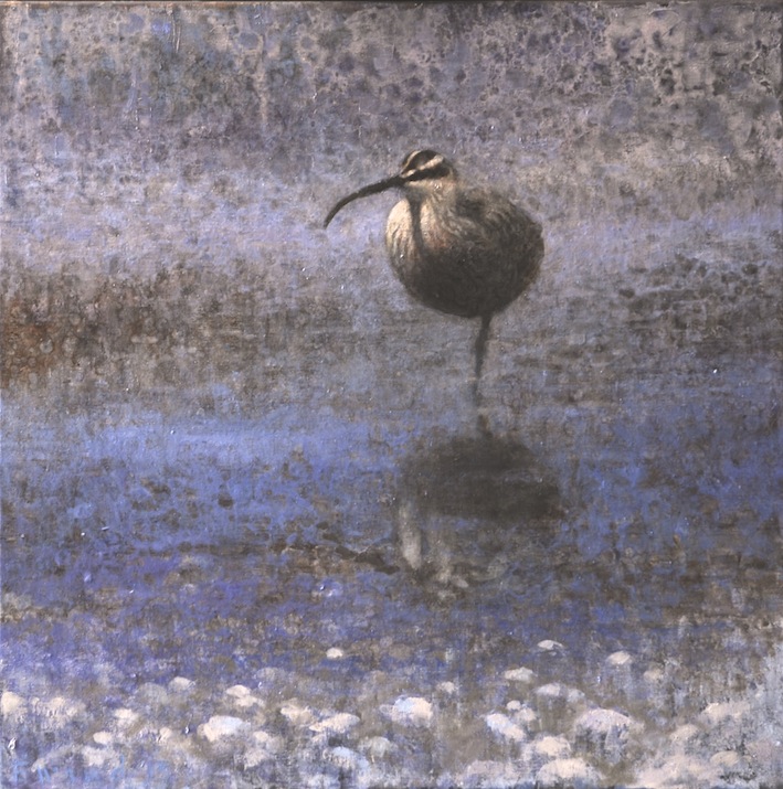 Ewoud-de-Groot-Wildlife-Whimbrel-2013