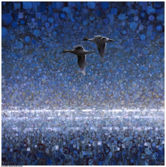 Ewoud-de-Groot-Wildlife-birds01