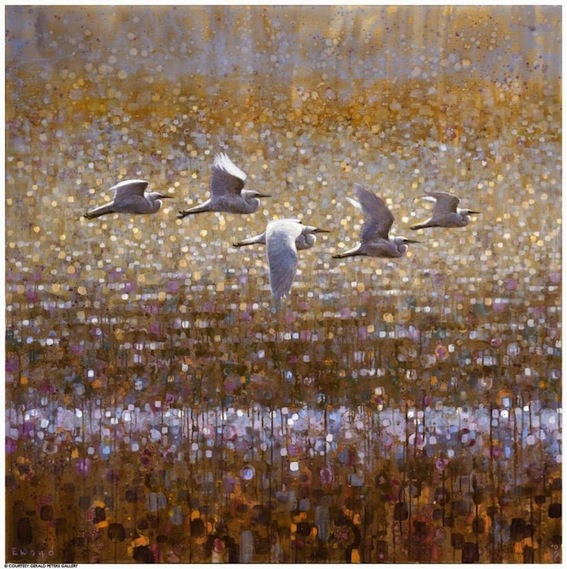 Ewoud-de-Groot-Wildlife-birds03