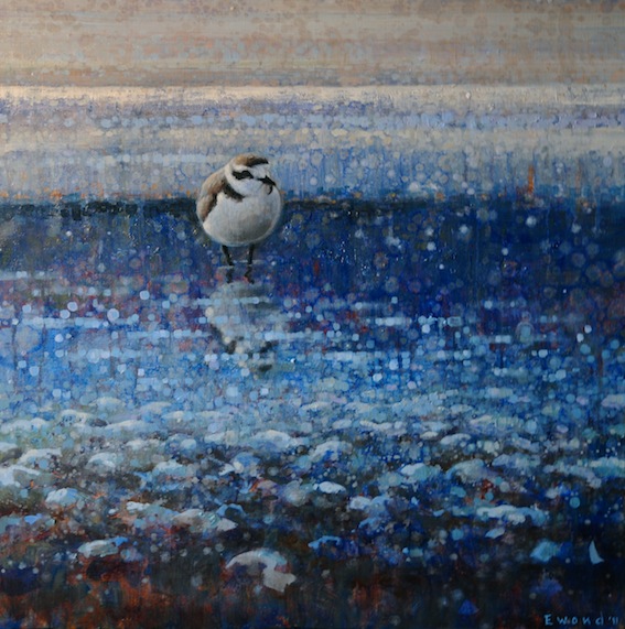Ewoud-de-Groot-Wildlife-birds04