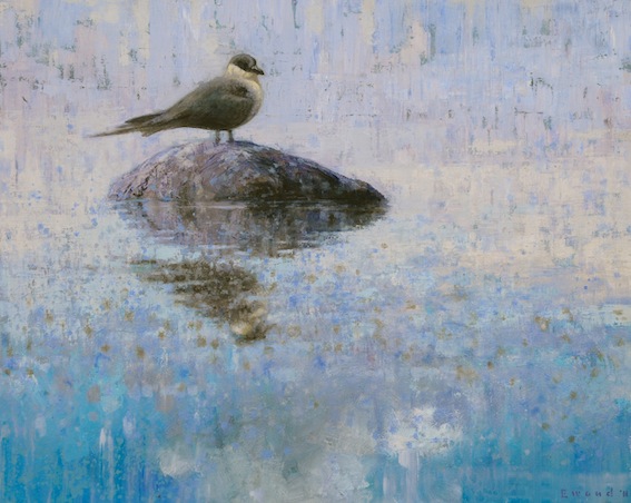 Ewoud-de-Groot-Wildlife-birds06