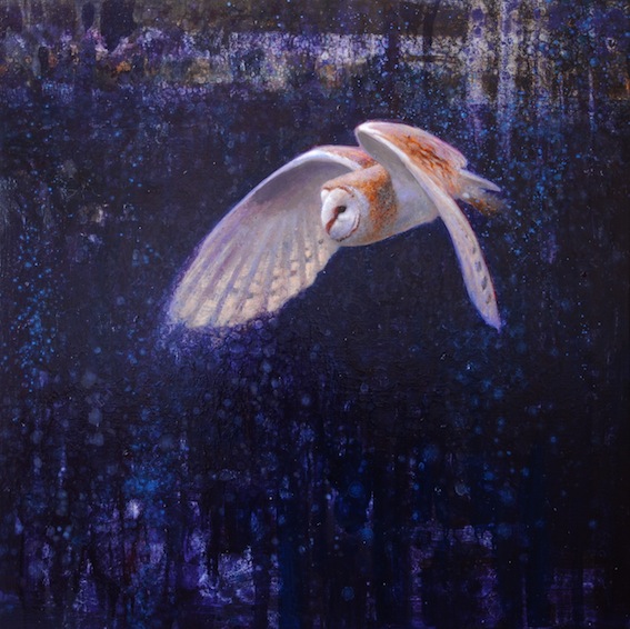 Ewoud-de-Groot-Wildlife-birds07