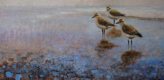 Ewoud-de-Groot-Wildlife-birds09
