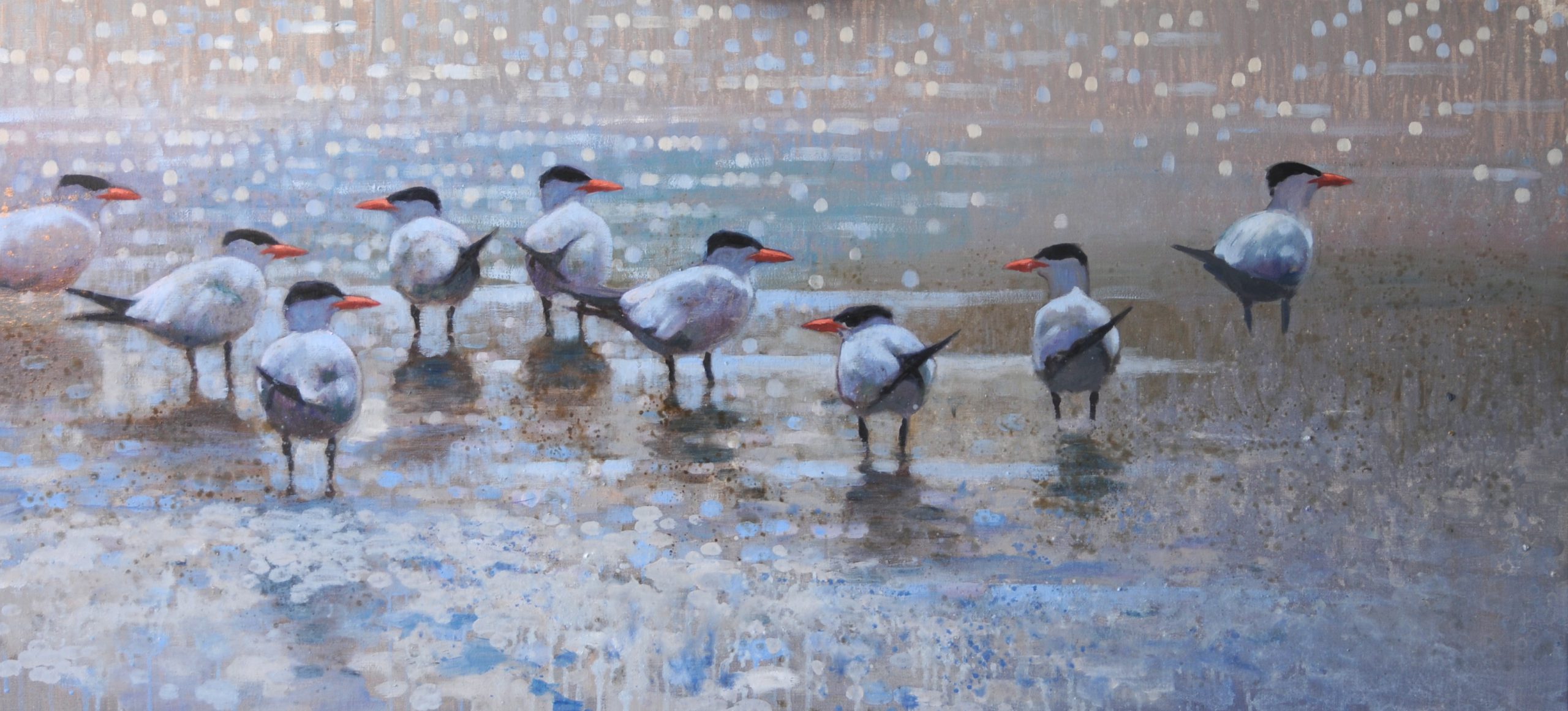 Ewoud-de-Groot-Wildlife-birds10