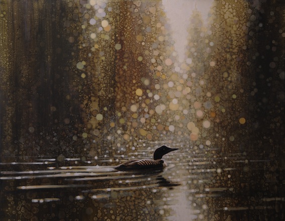 Ewoud-de-Groot-Wildlife-birds11