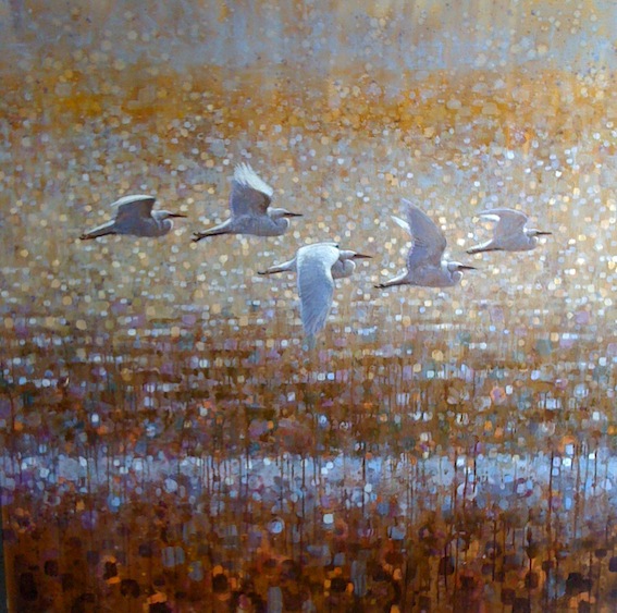 Ewoud-de-Groot-Wildlife-birds12