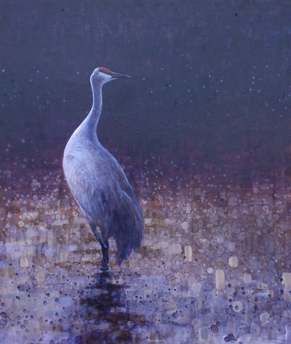 Ewoud-de-Groot-Wildlife-birds13