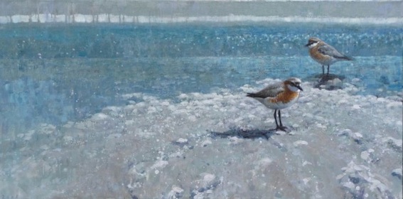 Ewoud-de-Groot-Wildlife-birds16