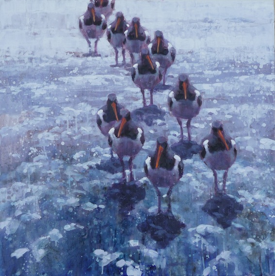 Ewoud-de-Groot-Wildlife-birds18