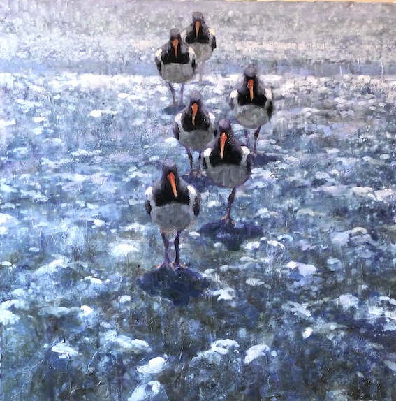 Ewoud-de-Groot-Wildlife-birds19