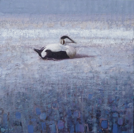 Ewoud-de-Groot-Wildlife-birds22