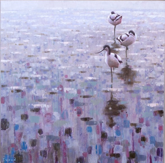 Ewoud-de-Groot-Wildlife-birds24