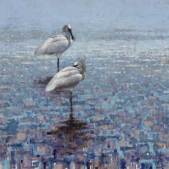 Ewoud-de-Groot-Wildlife-birds25