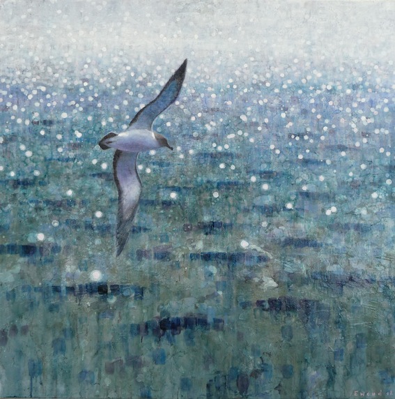 Ewoud-de-Groot-Wildlife-birds26