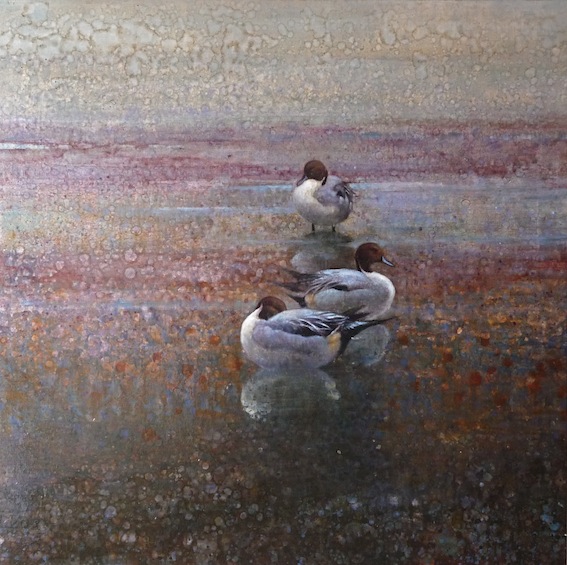 Ewoud-de-Groot-Wildlife-birds27