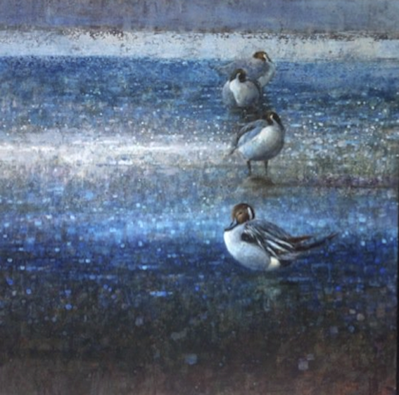 Ewoud-de-Groot-Wildlife-birds32