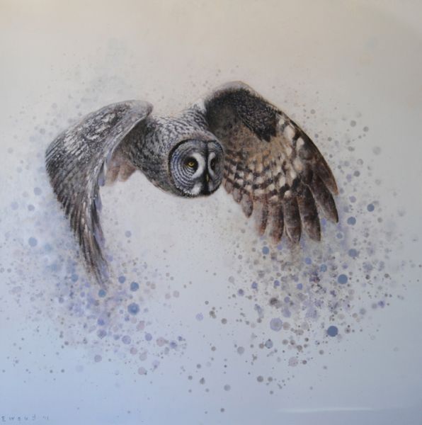 Ewoud-de-Groot-Wildlife-great-grey-owl-2012