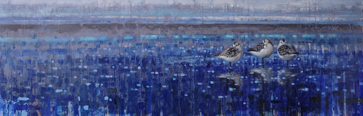 Ewoud-de-Groot-Wildlife-sanderlings-2012