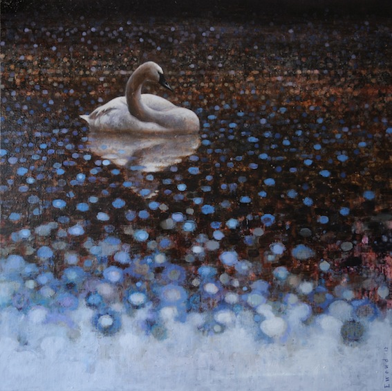 Ewoud-de-Groot-Wildlife-swan01