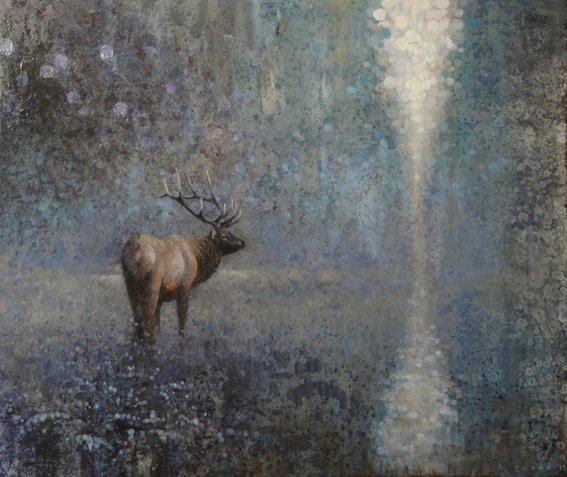 Ewoud-de-Groot-Wildlife01