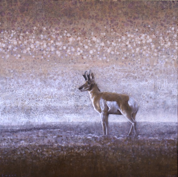Ewoud-de-Groot-Wildlife03