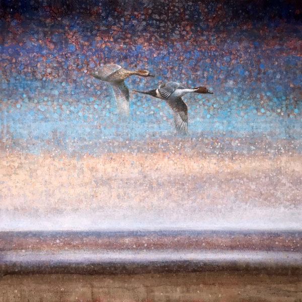 Ewoud-de-Groot-wildlife-art-artist-animals-birds-oil-painting-canvas-linen-Pintails