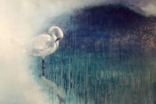 Ewoud-de-Groot-wildlife-art-artist-animals-birds-oil-painting-canvas-linen-resting-swan