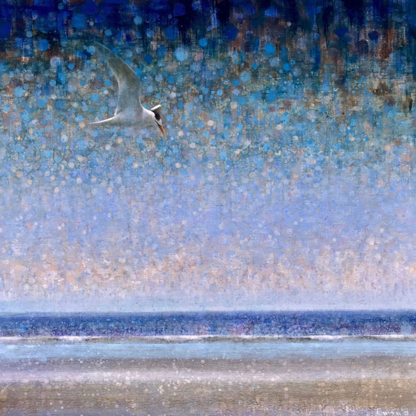 Ewoud-de-Groot-wildlife-art-artist-animals-birds-oil-painting-canvas-linen-tern-01