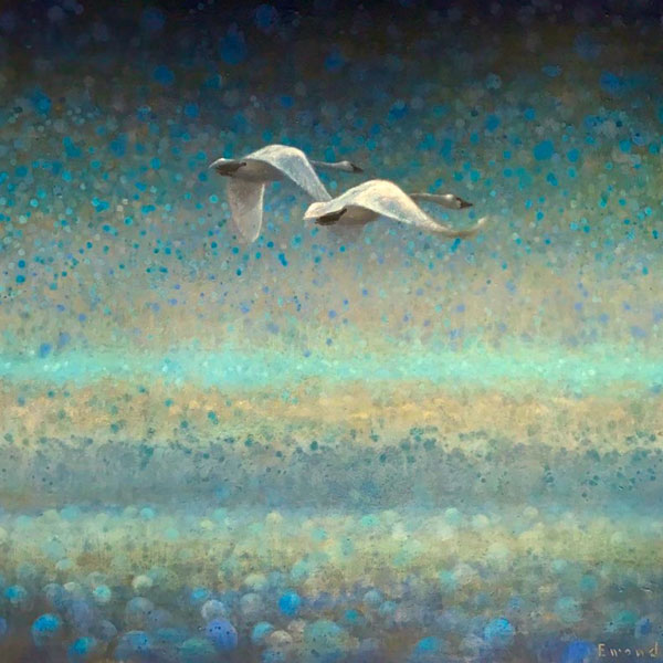 Ewoud-de-groot-wildlife-art-painting-swans-01